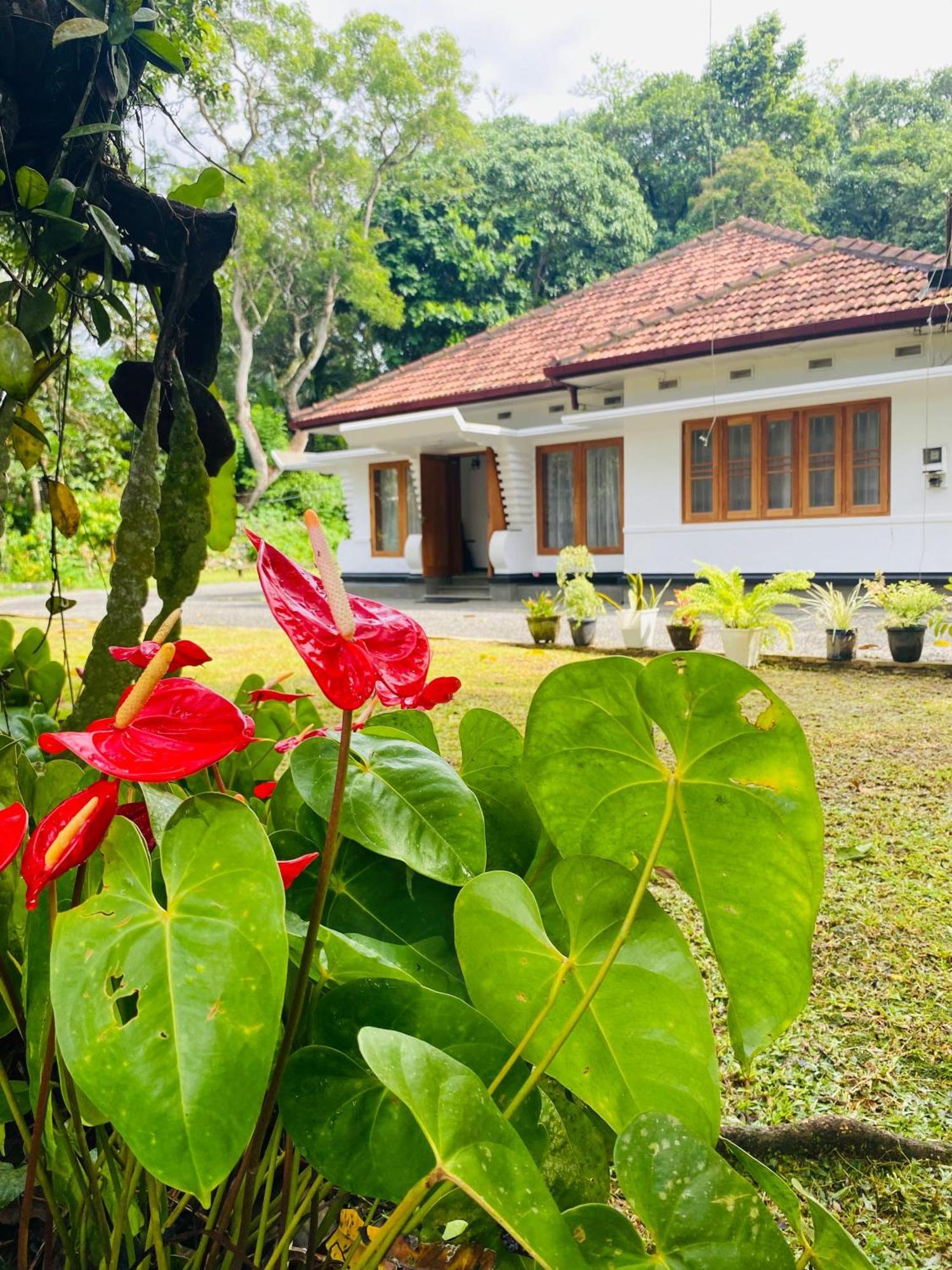 Happy Valley Residence Unawatuna Galle Esterno foto